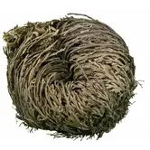 Roos van Jericho (25 stuks)