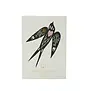 Boek & carddeck: Spirit animal cards