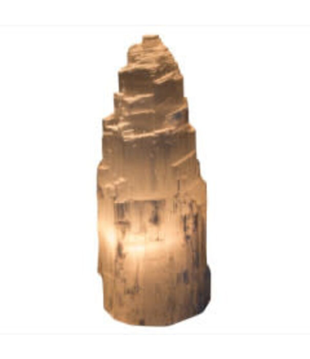 Seleniet lamp spiraal 30  incl. snoer + lampje