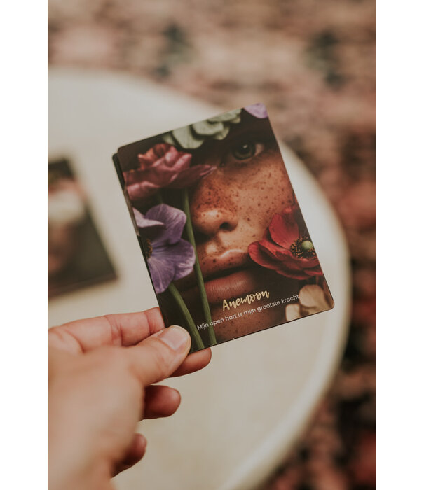 Wilde wijsheid book & cards
