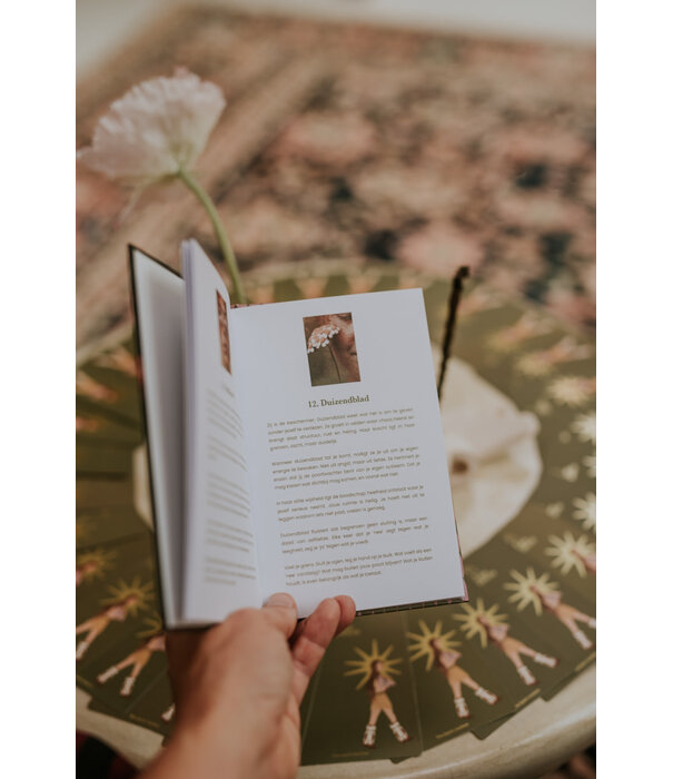 Wilde wijsheid book & cards