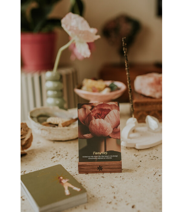 Wilde wijsheid book & cards