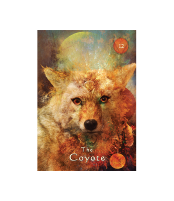 Mystical Shaman Pocket Oracle Cards