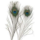 Pauwenveer 38-42cm 10 stuks