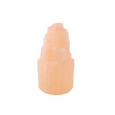 Seleniet torentje oranje 10 cm