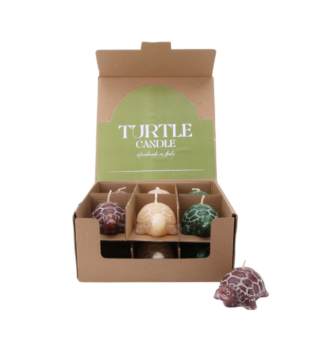Kaars schildpad ( Display12 stuks )