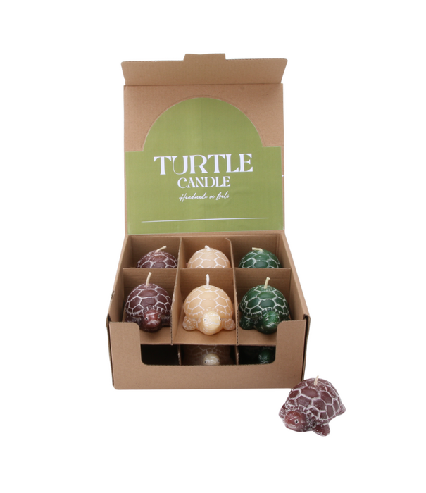 Kaars schildpad ( Display12 stuks )
