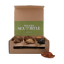 Houten Schildpad Handgemaakt ( Display18 stuks )