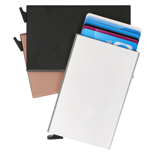 6-pasjes Cardprotector