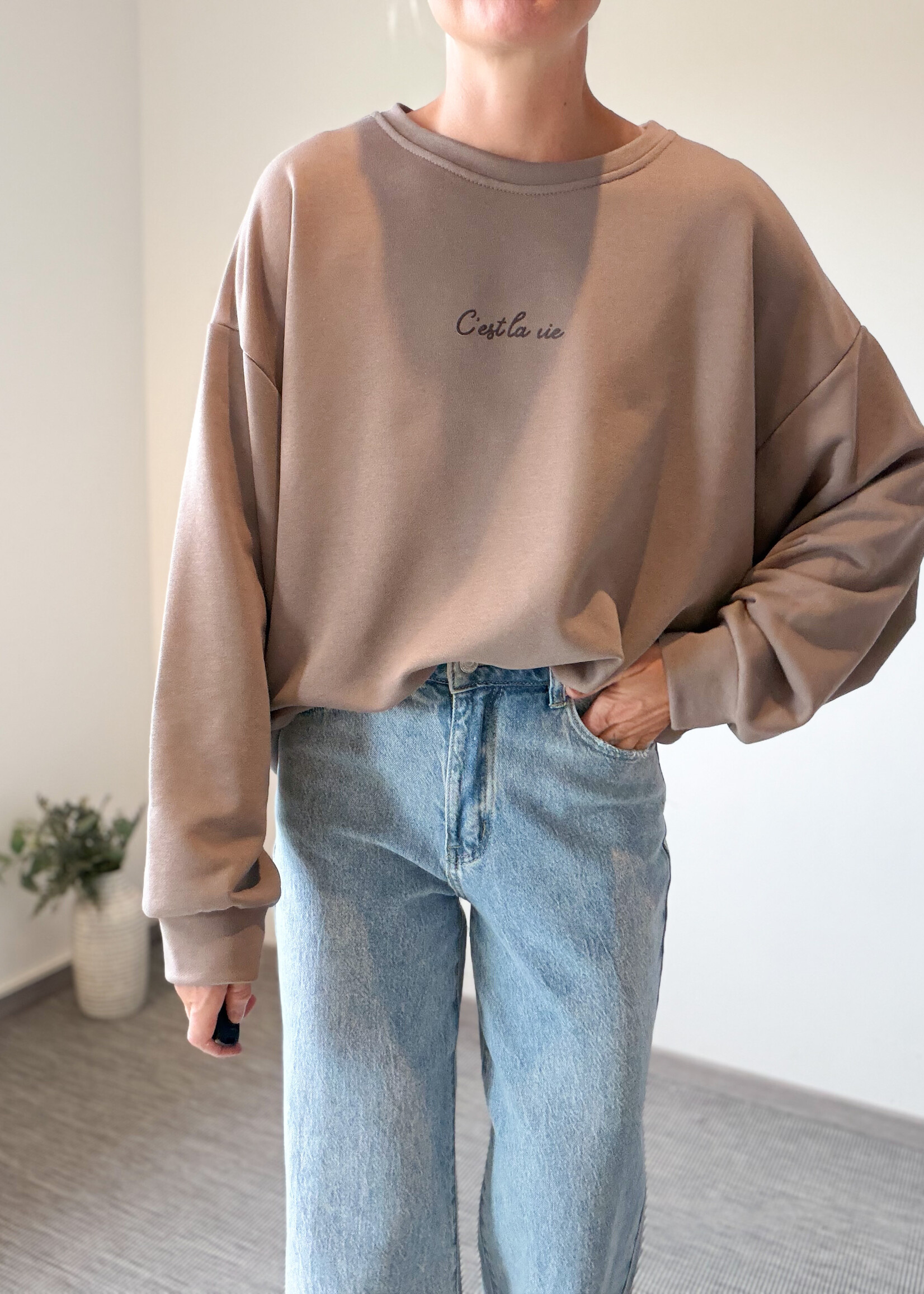 C'EST LA VIE SWEATER TAUPE