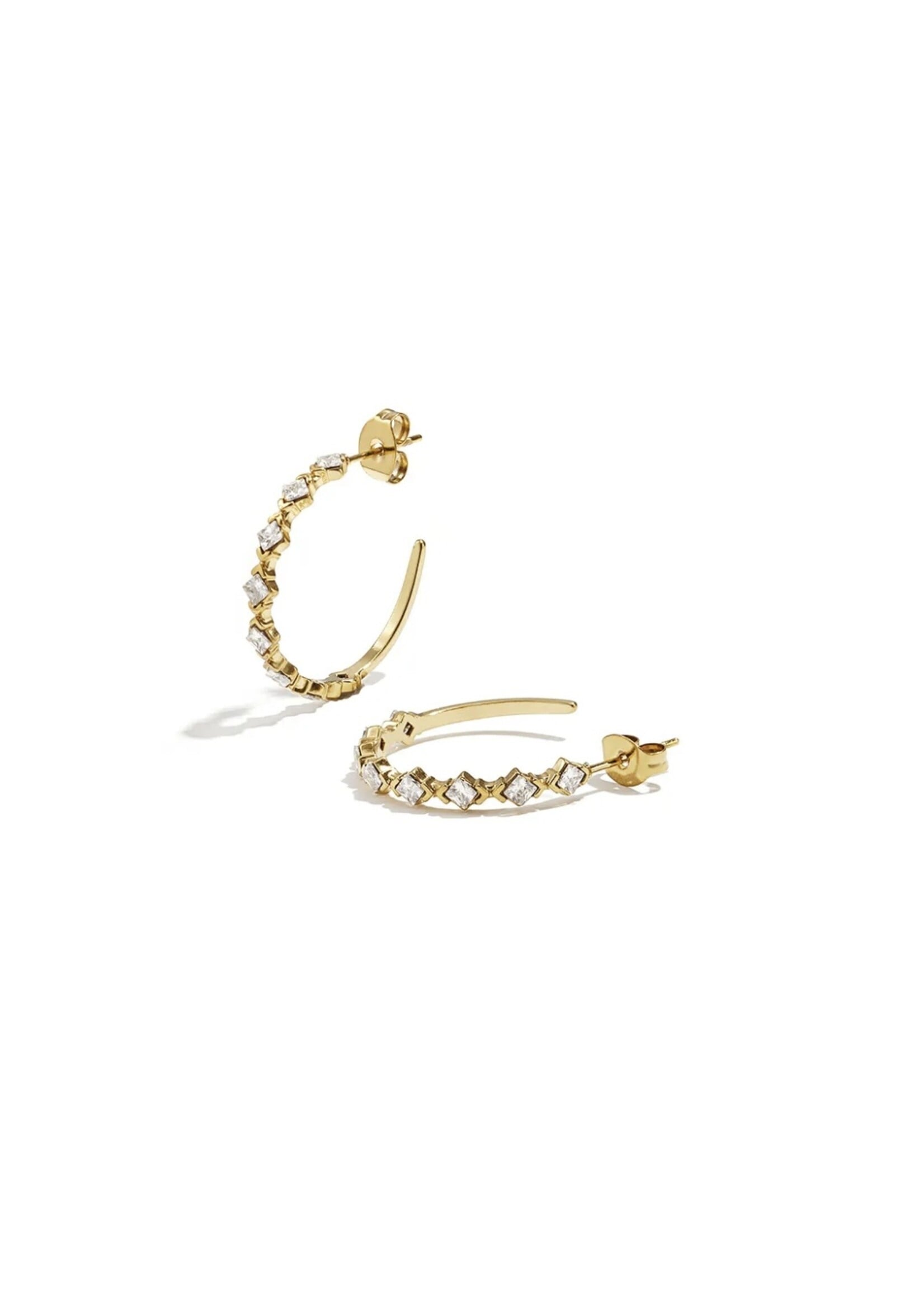 CLASSY BUT SASSY EARRINGS