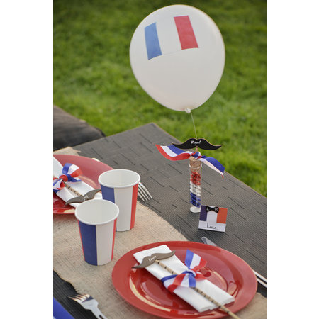 Ballonnen met de Franse vlag