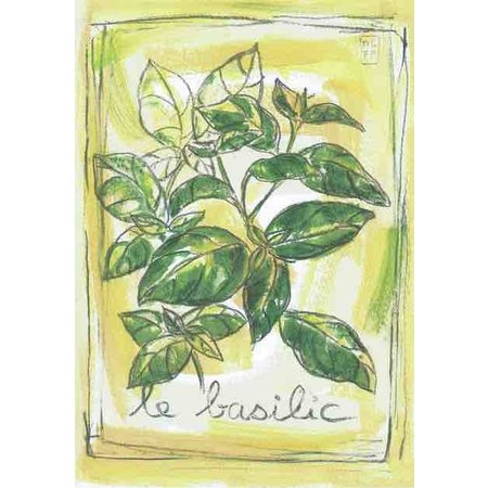 Aquarel van de kruid basilicum