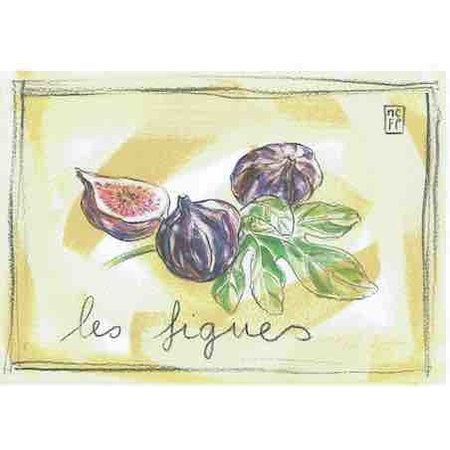 Aquarel van vijgen uit de Provence