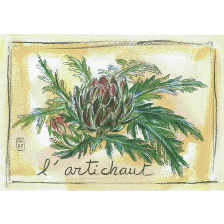 Aquarel van artisjokken uit de Provence