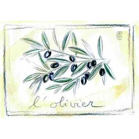 Aquarel van olijven uit de Provence