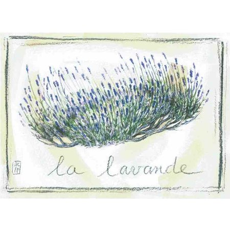 Aquarel van lavendel uit de Provence