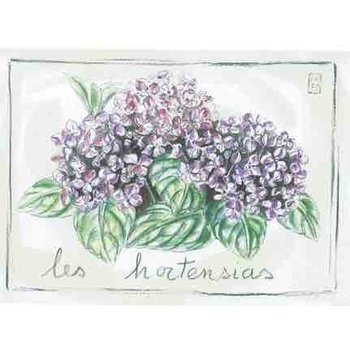 Lumière de Provence Print hortensia