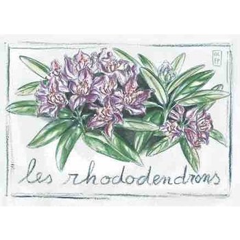 Lumière de Provence Print rhodondendron