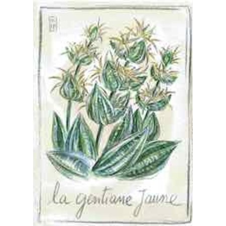 Aquarel van gentiaanbloemen