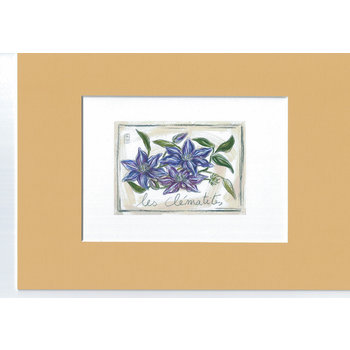 Lumière de Provence Print clematis kader