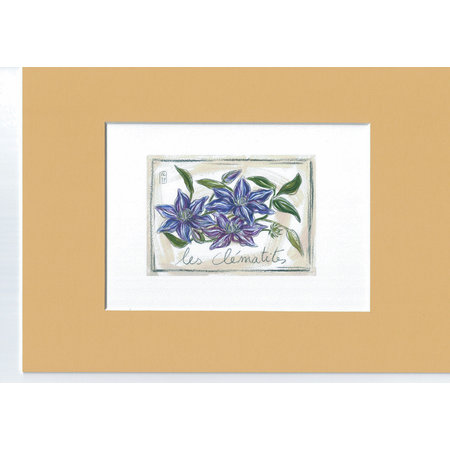 Aquarel van  clematis