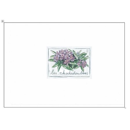 Aquarel van  rhodondendron