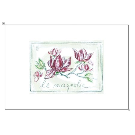 Aquarel van magnolia