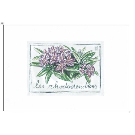 Aquarel van  rhodondendron