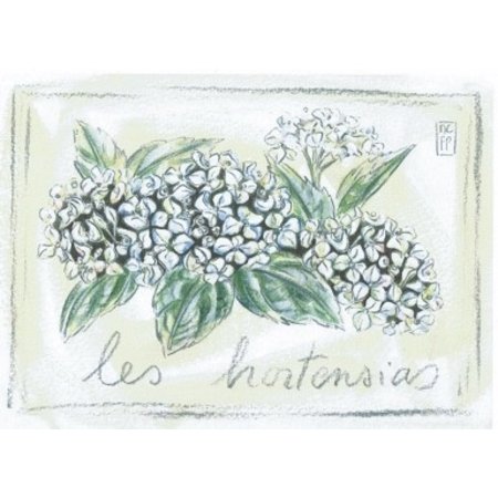 Aquarel van een witte hortensia