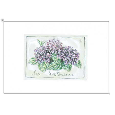 Aquarel van een paarse hortensia