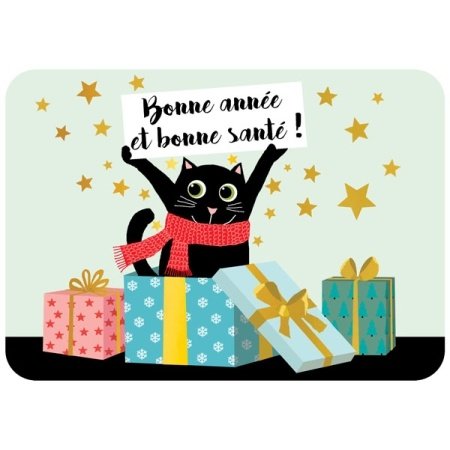 Franse nieuwjaarstkaart met poes