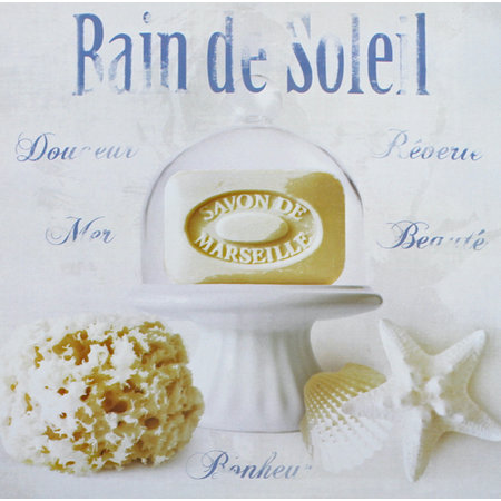 Franse ansichtkaart  Bain de Soleil