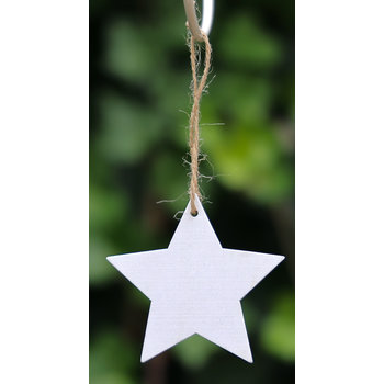 Lumière de Provence 10x houten ster wit