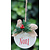 Kerstdecoratie
