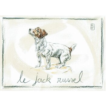 Lumière de Provence Print jack russel