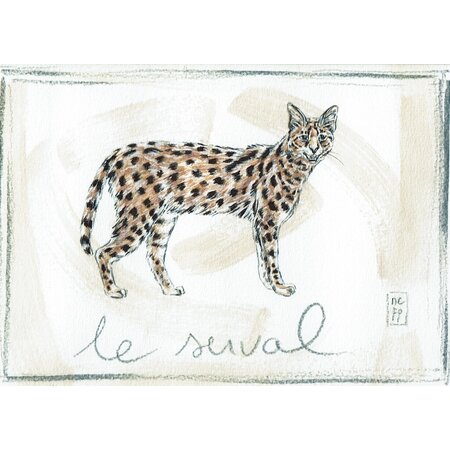 Aquarel van  een serval