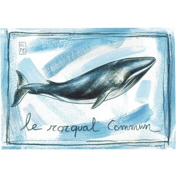 Lumière de Provence Print walvis