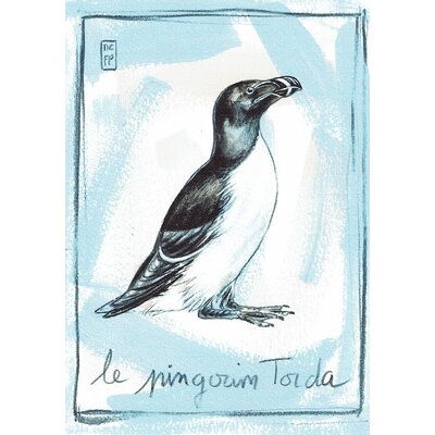 Print pinguin torda