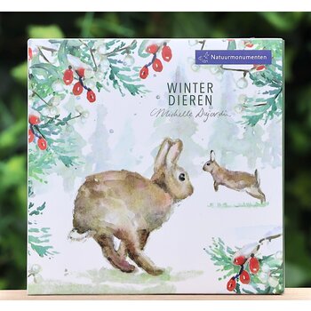 Michelle Dujardin Kaartenmapje winter