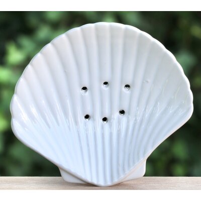 Zeepbakje schelp