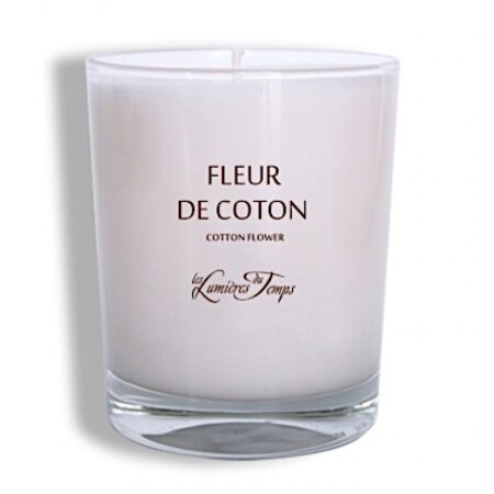 Assortiment La Tulipe Jaune