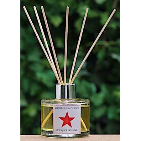 Geurstokjes rode ster