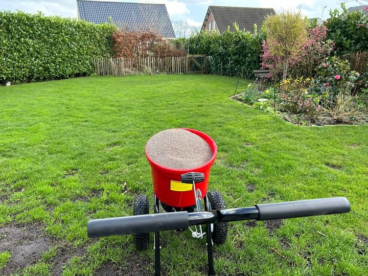 Waarom kalk op het gazon?