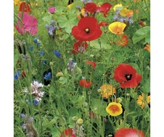 Gazonbemesting Wilde bloemen mengsel - 100 gram