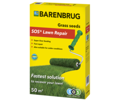 Barenbrug Barenbrug Herstel SOS graszaad - 1 kg