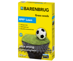 Barenbrug Barenbrug RPR Lawn  graszaad - 1 kg