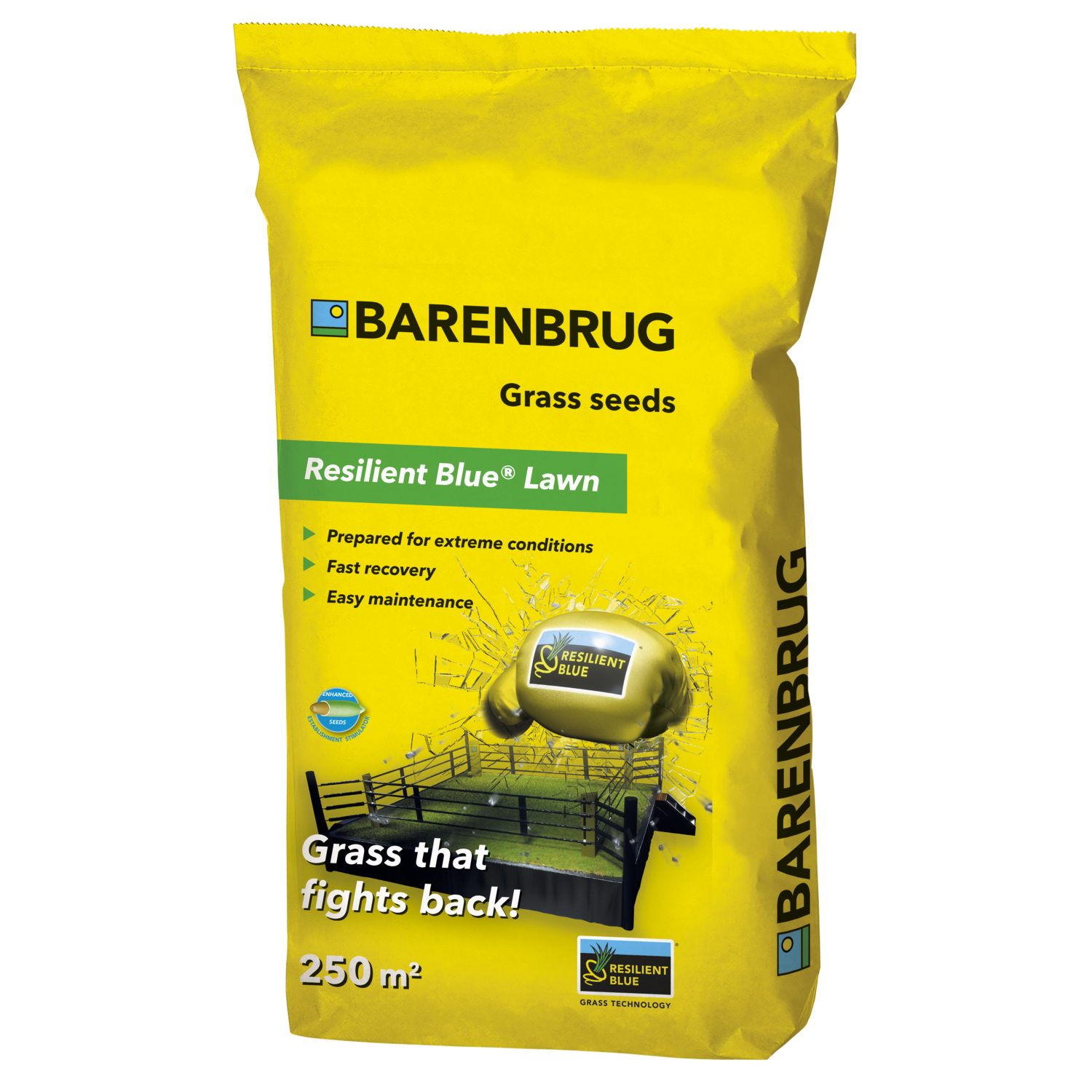 Barenbrug Resilient Blue Lawn online kopen