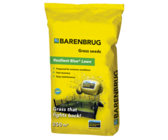 Barenbrug Barenbrug Resilient Blue Lawn graszaad - 5 kg