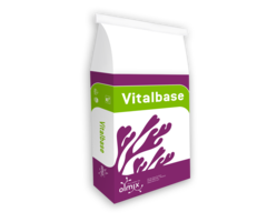 Marathon Marathon Vitalbase - organische meststof - 15 kg